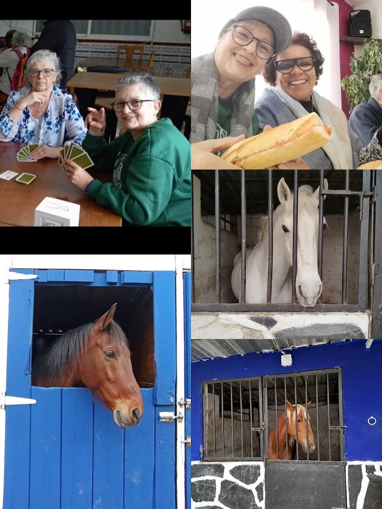 OFELIA ROMAN_Finca Los Jarales_Campo Real_recensione