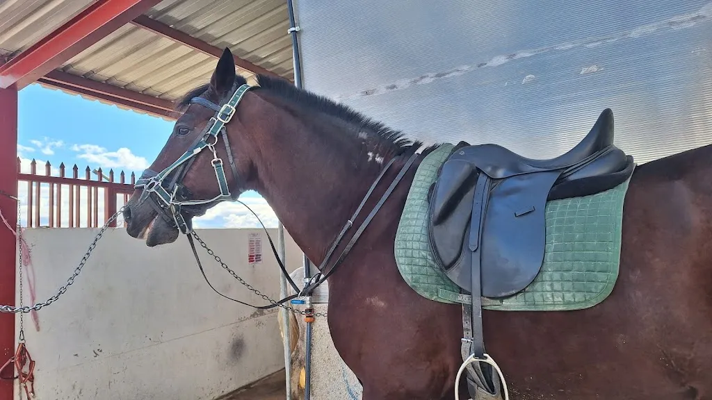 Esmeralda Ramos_Finca Los Jarales_Campo Real_recensione