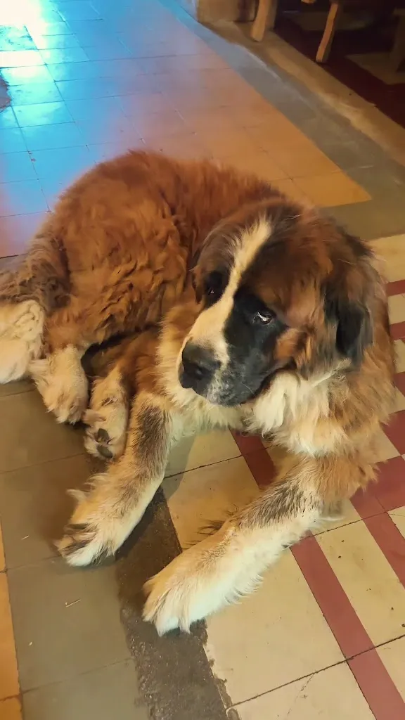 Mer Rodri Garcia_La Posada Cercedilla_Cercedilla_review