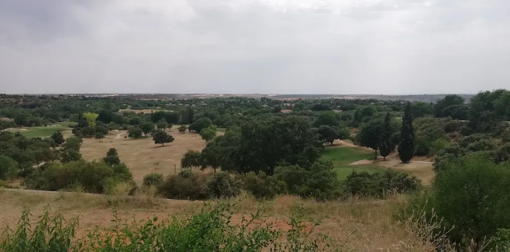 Imelda Wang_Green 19_Corpa_review