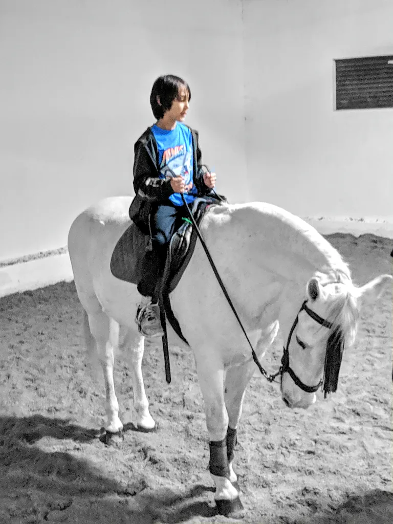 Javi_Hipica Pedazos Del Convento_Cubas de la Sagra_review