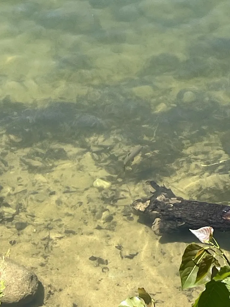 Michiel Hoefsmit_Posada del Agua_Hiruela La_recensione