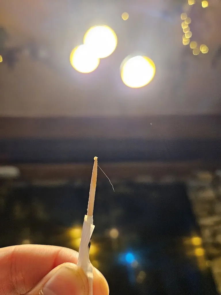 Mykhailo Husakov_El Patio de los Olivos_El Molar_review