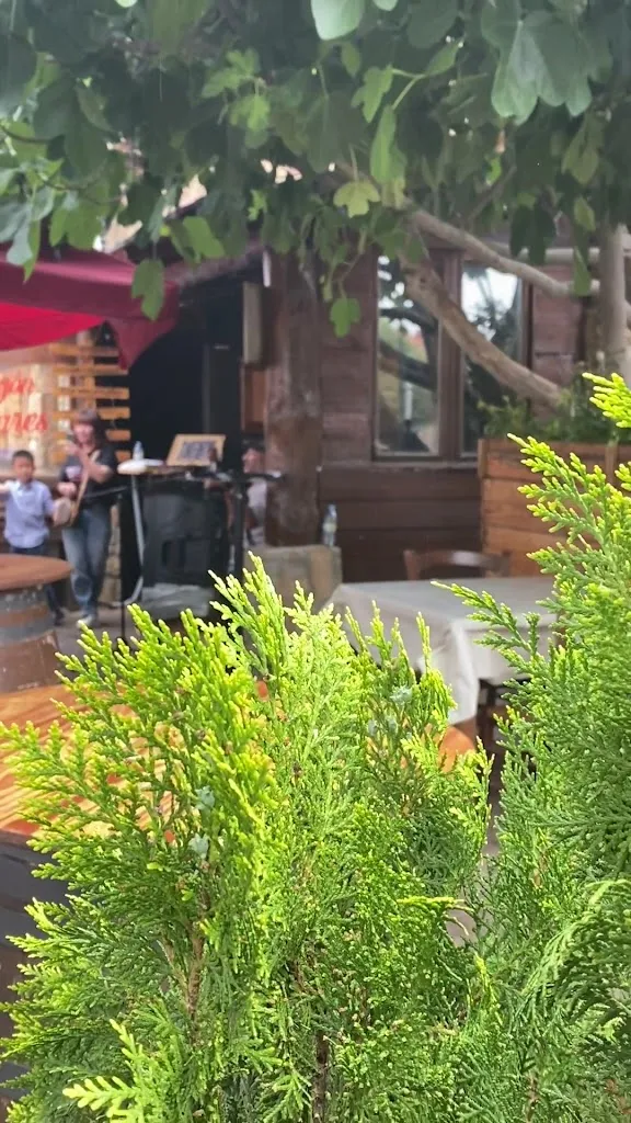 El Bodegon de Olivares_El Molar_slider_image_2