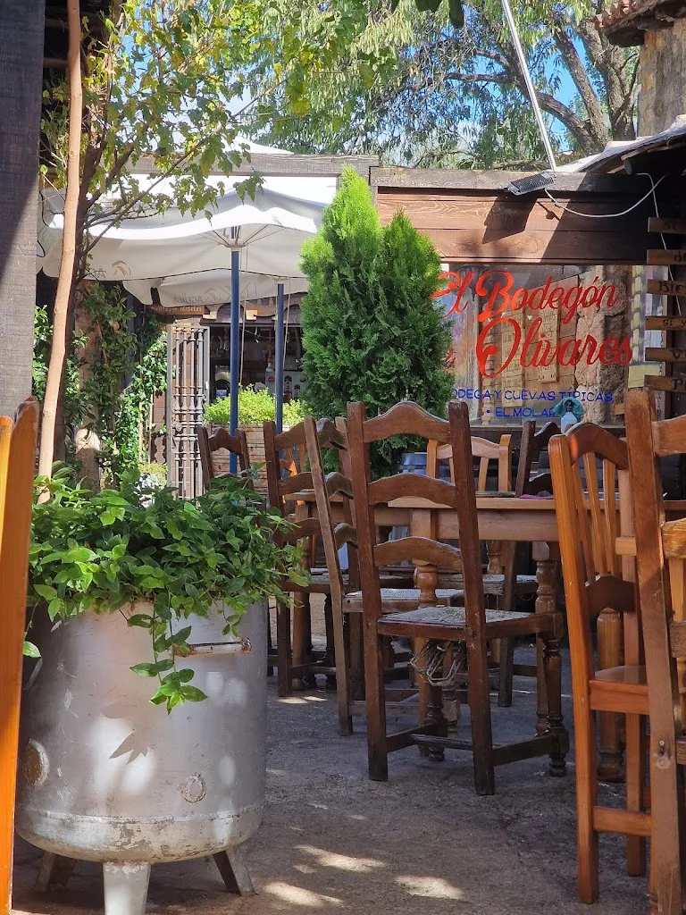 El Bodegon de Olivares_El Molar_slider_image_3