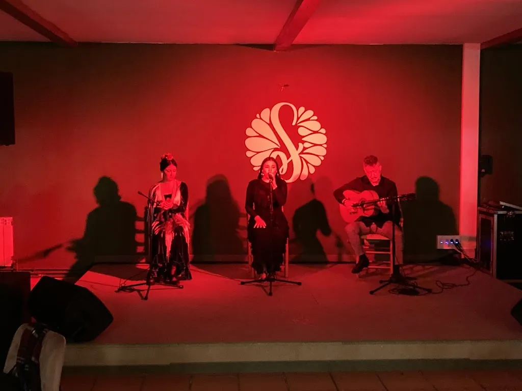César L._Sabor Flamenco by Finca La Dehesilla | Cena y Flamenco Madrid_El Molar_review