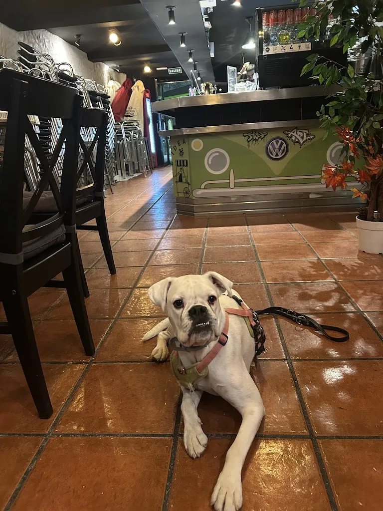 Borja Lavesiera_LA GASTRONETA DE JOE_Guadalix de la Sierra_recensione