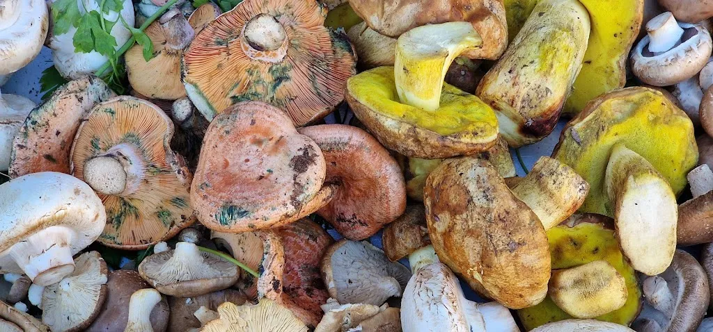 Menu_Arroz y cañas_Guadalix de la Sierra_image_7