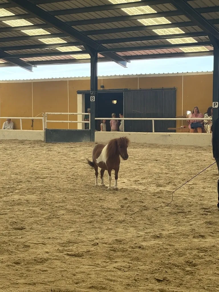 carolina Maciñeiras_Vistas Reales | Restaurante en Soto del Real_Guadalix de la Sierra_review