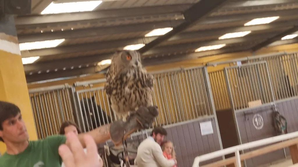 sara arjoun_Vistas Reales | Restaurante en Soto del Real_Guadalix de la Sierra_review