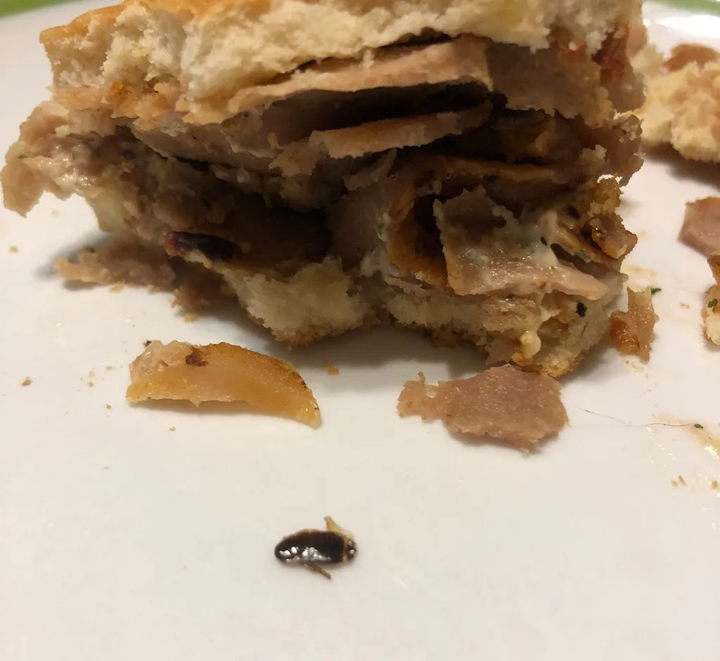 Menu_Malik Döner Kebab Guadalix_Guadalix de la Sierra_image_9