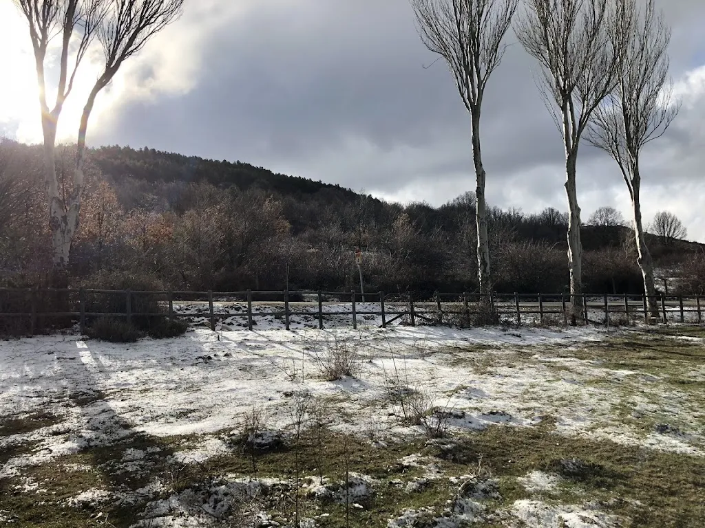 Andrés Leonardo Martínez Ortiz_Restaurante Monte del Tejo_Montejo de la Sierra_review