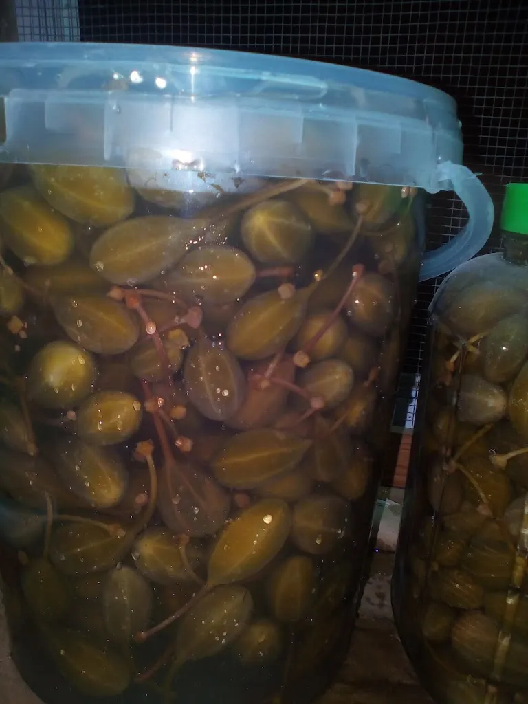 Menu_Ca Angel_Novelda_image_3