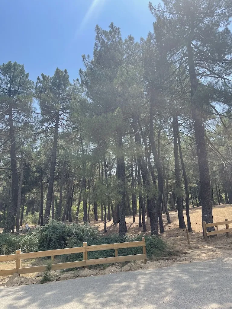 ¿Volvería?_RUGE RESTAURANTE_Guadarrama_review