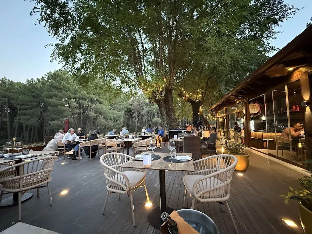 RUGE RESTAURANTE restaurant in Guadarrama