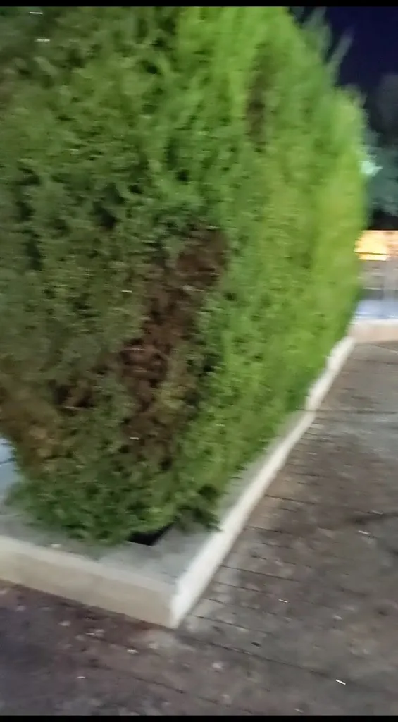 saurabh singh_Hostal Restaurante La Tinaja_Morata de Tajuña_review