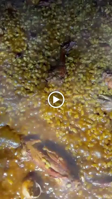 Restaurante Polideportivo Cucuch_Novelda_slider_image_2