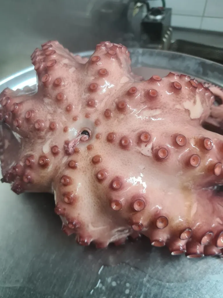 Menu_barri's bar_Moralzarzal_image_8