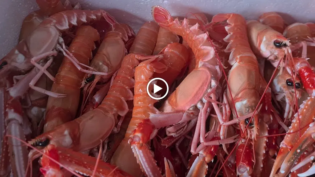 barri's bar_Moralzarzal_slider_image_2