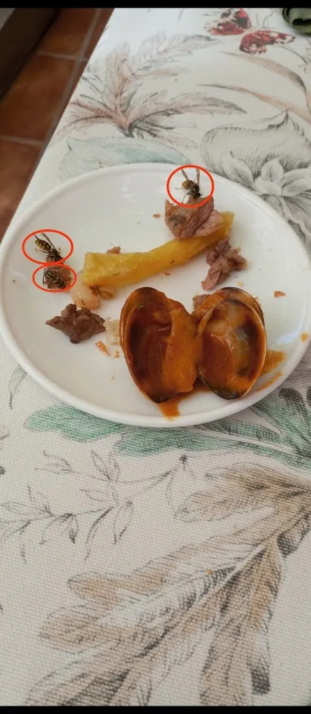 Jorge_Asador Restaurante Las Cañas_Móstoles_review