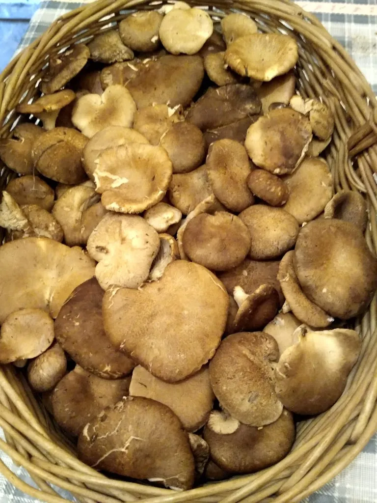 Menu_LA NOGALERA_Pinilla del Valle_image_9