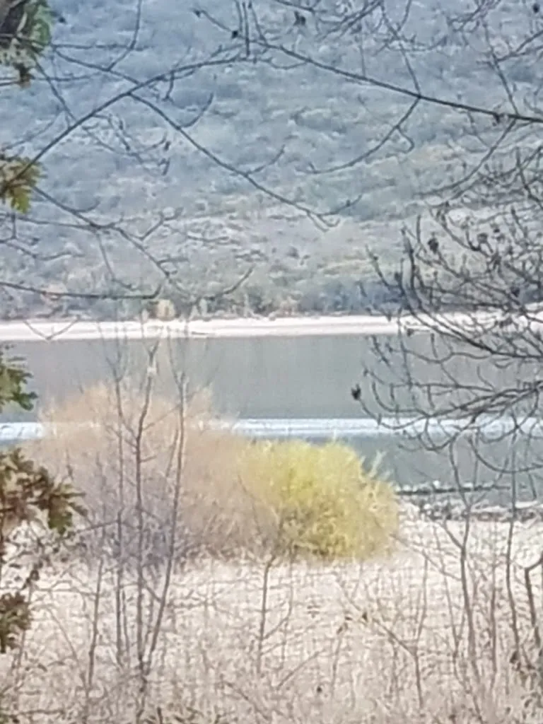 Belen Morala_Pinilla del Valle_Pinilla del Valle_review