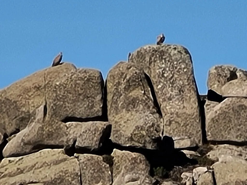 Fercaba007 (Fercaba007)_Pinilla del Valle_Pinilla del Valle_review