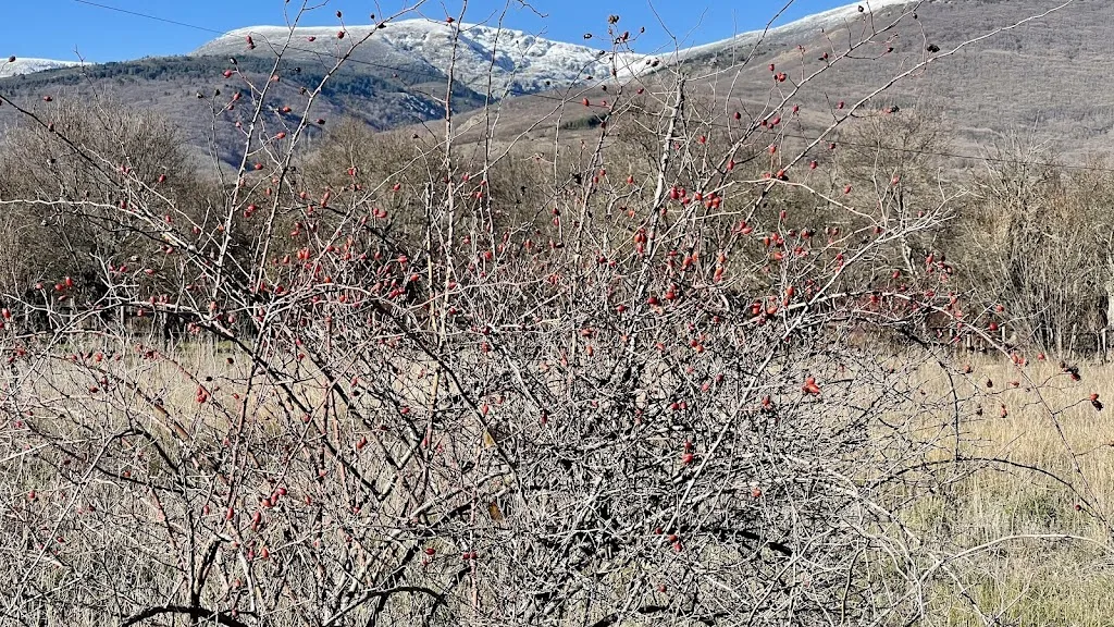 Pinilla del Valle_Pinilla del Valle_slider_image_3