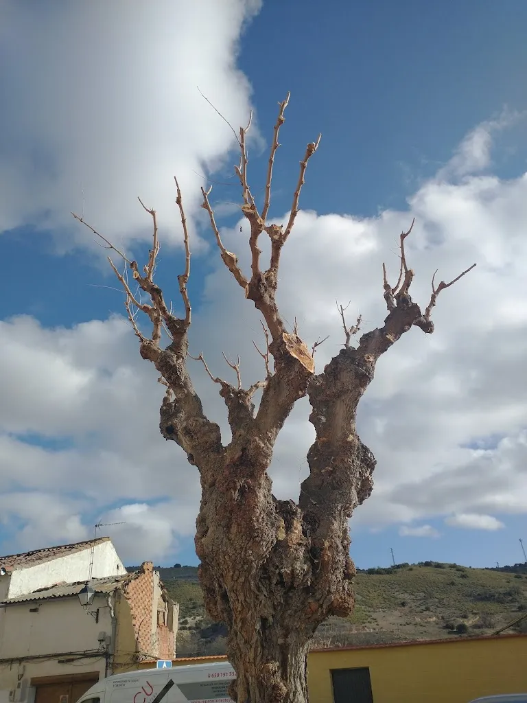 Bar Roxy_Perales de Tajuña_slider_image_3