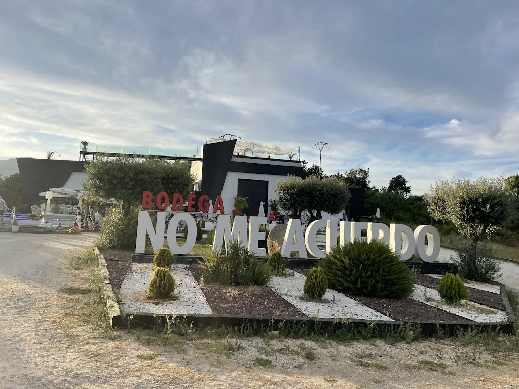 Maricarmen Blázquez De Jesús_Bodega No me Acuerdo_Rozas de Puerto Real_review