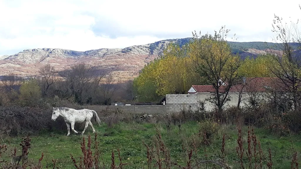 Restaurante Los Manzanos_Rascafría_slider_image_2