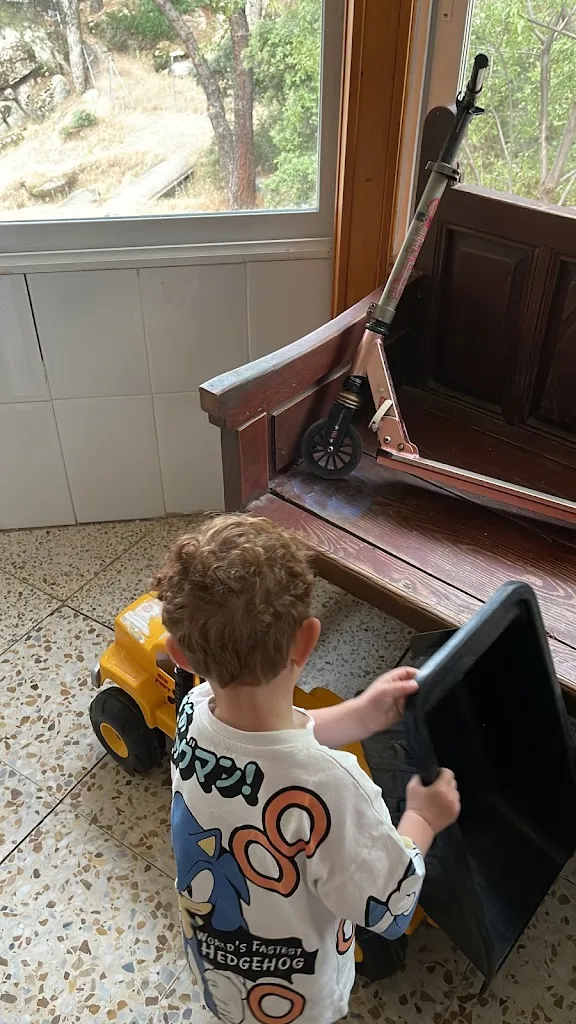 Alexandre Manouba_Restaurante Vicente_San Martín de Valdeiglesias_review