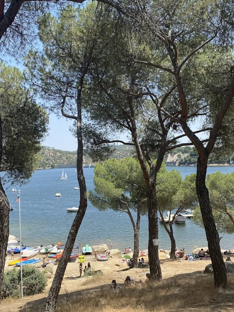 María A. Fdez._Restaurante Vicente_San Martín de Valdeiglesias_review