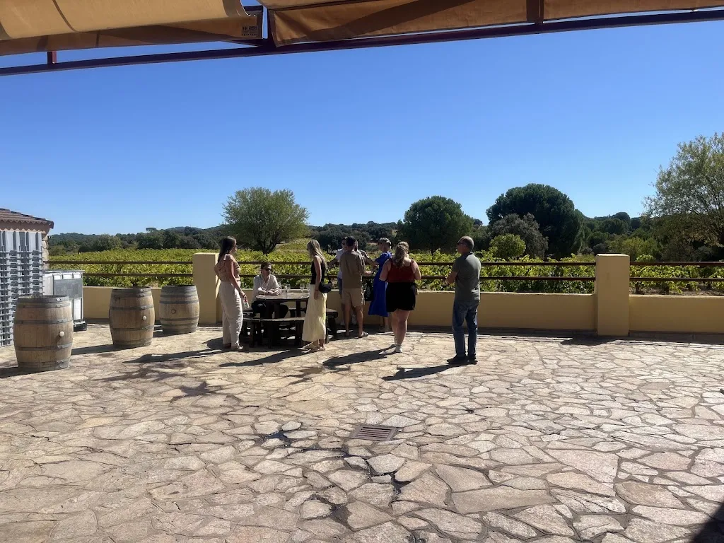 Jade Teunissen_Bodega ValleYglesias_San Martín de Valdeiglesias_recensione