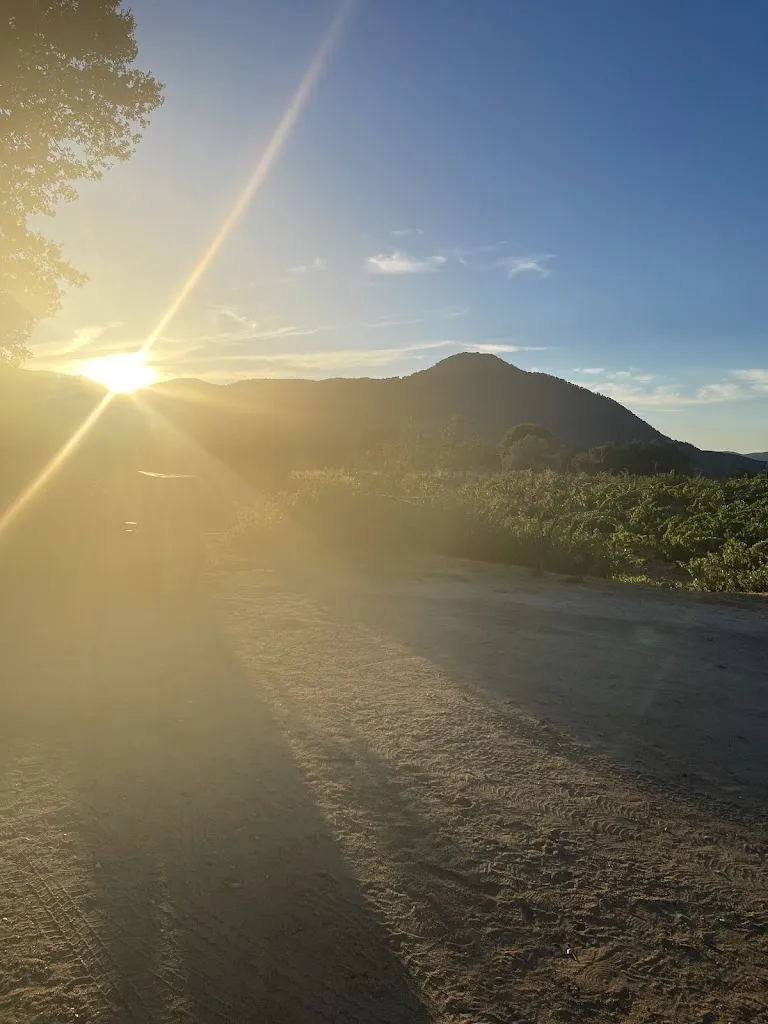 lauren daenens_Bodega ValleYglesias_San Martín de Valdeiglesias_recensione