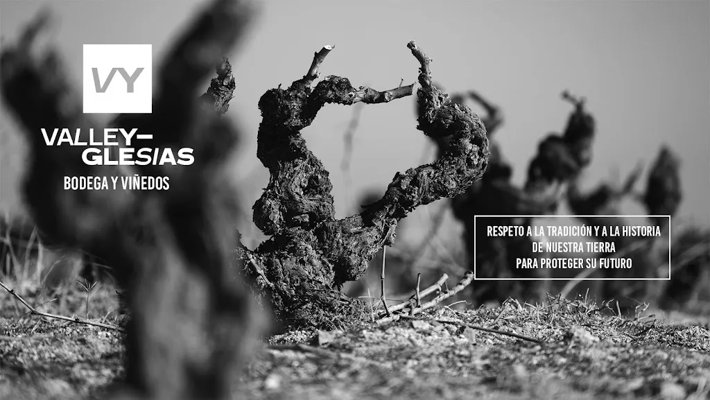 Bodega ValleYglesias_San Martín de Valdeiglesias_slider_image_1