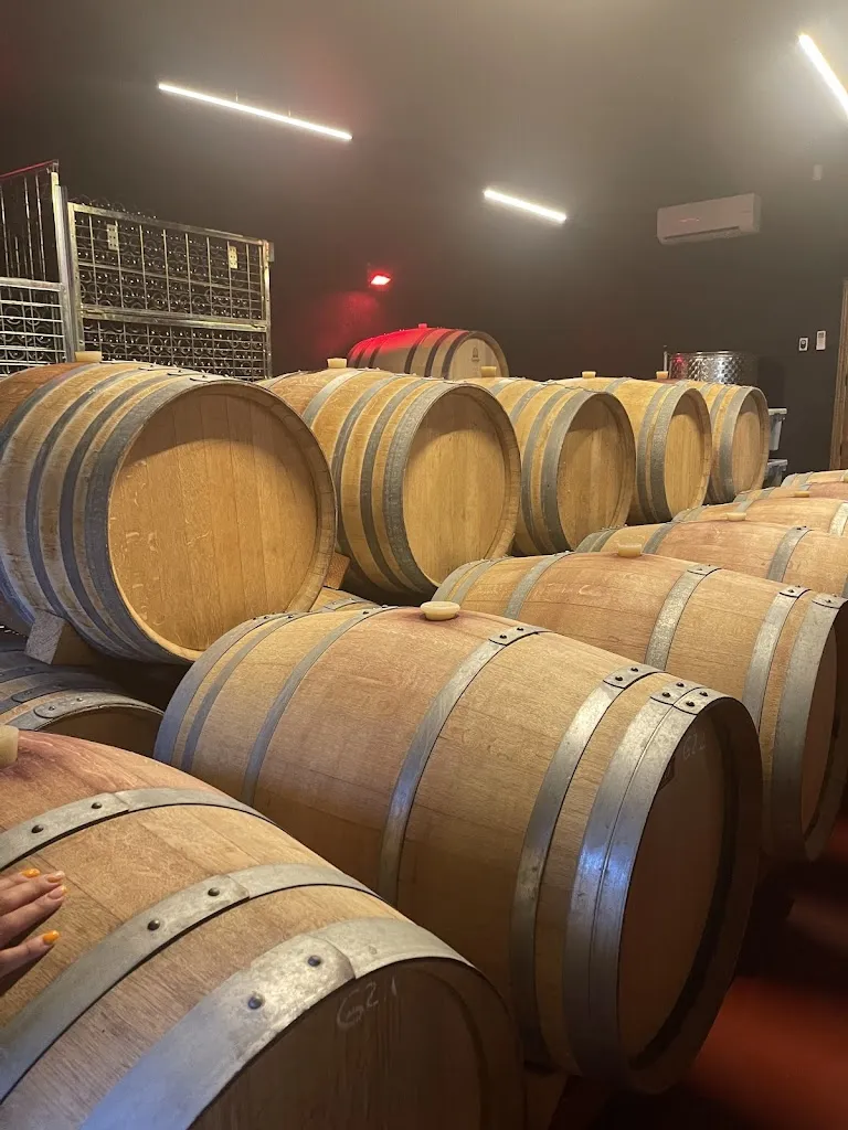 Bodega ValleYglesias_San Martín de Valdeiglesias_slider_image_3