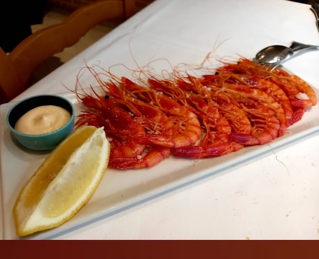 Alvaro_Mesón Toledano_Pinto_review