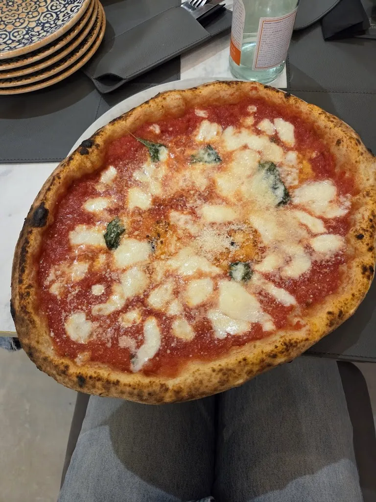 Ana Clara Soares Holanda_La Regina Pinto_Pinto_review