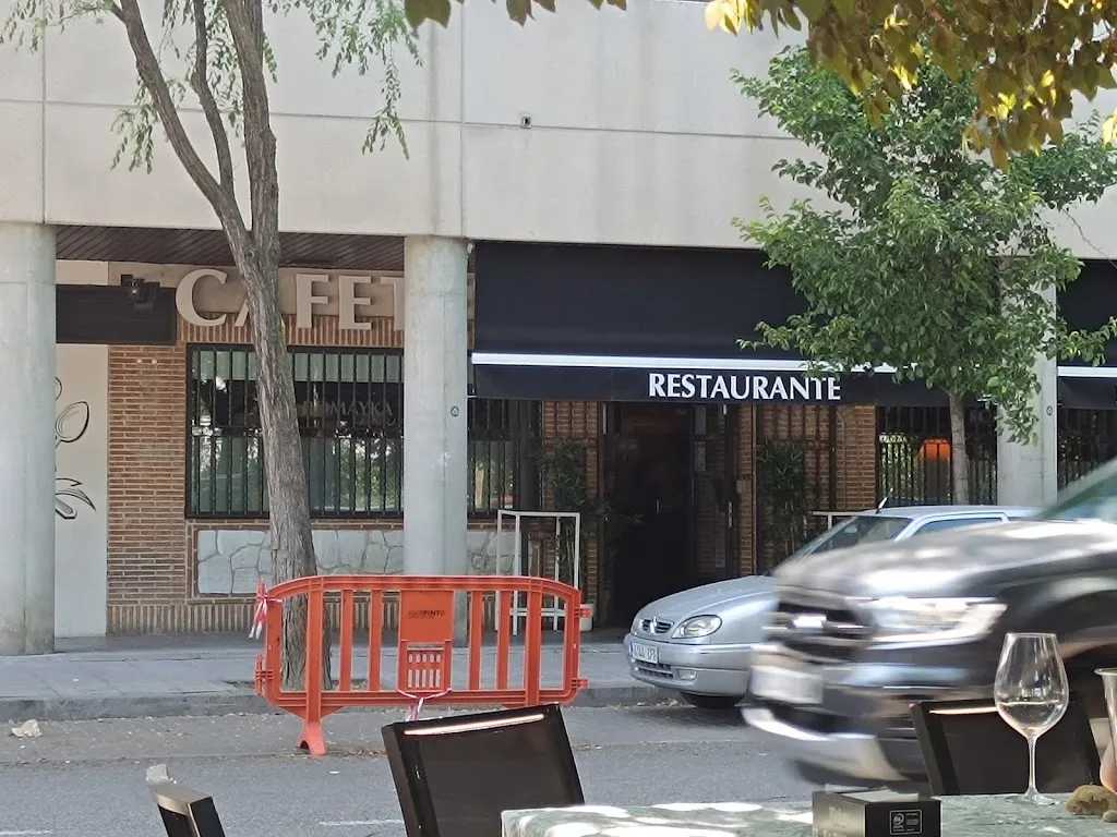 P SM_Romayka_Pinto_Bewertung