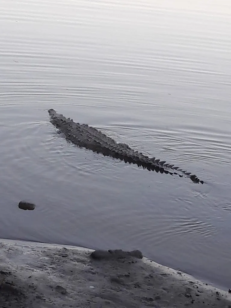 La Parrillada_San Blas-Canillejas_slider_image_2