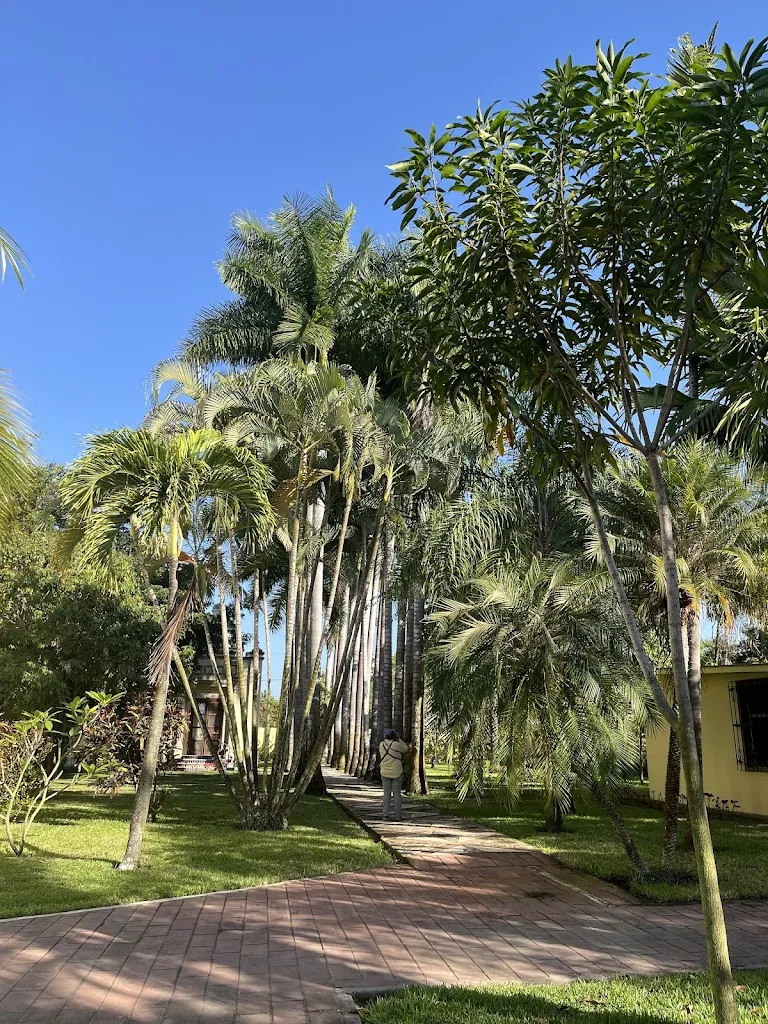 Jane Rodgers_Hotel Garza Canela San Blas Nayarit | Restaurante bar El Delfín San Blas Nayarit_San Blas-Canillejas_review