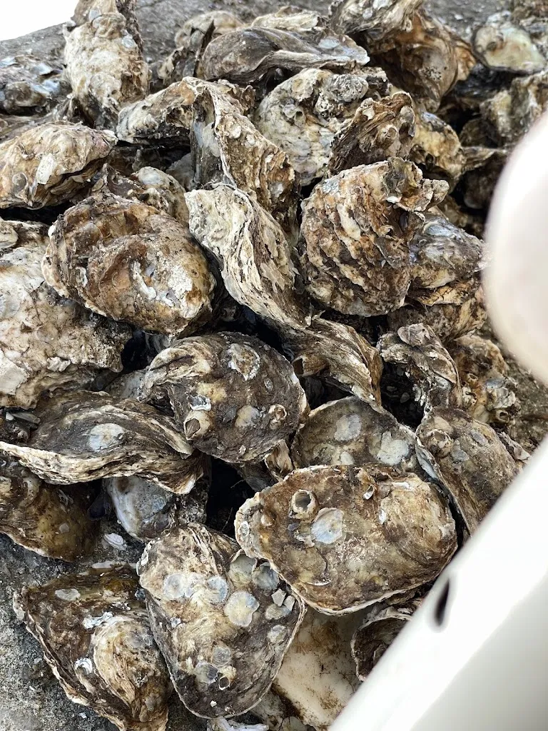 Restaurante Carlitos_San Blas-Canillejas_slider_image_2