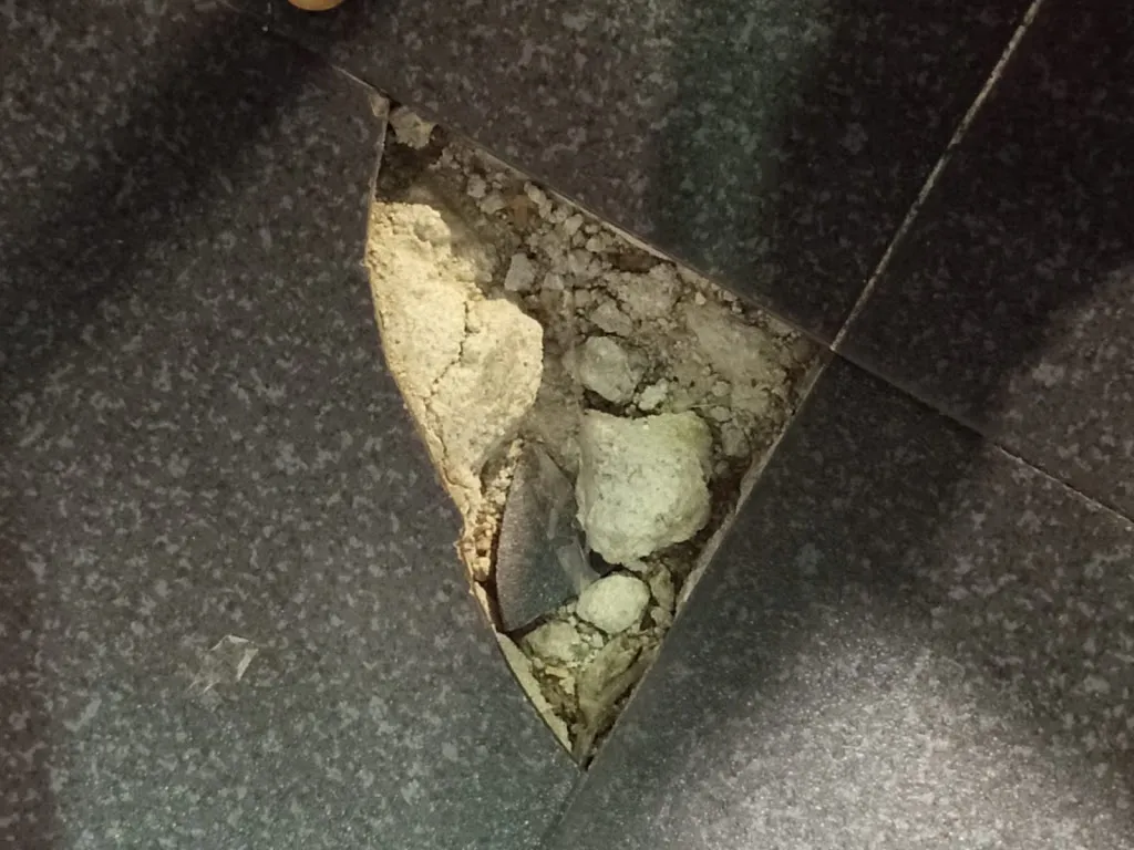 Diana B_Darilo's Pizza Torrejón Calzada_Torrejón de la Calzada_review