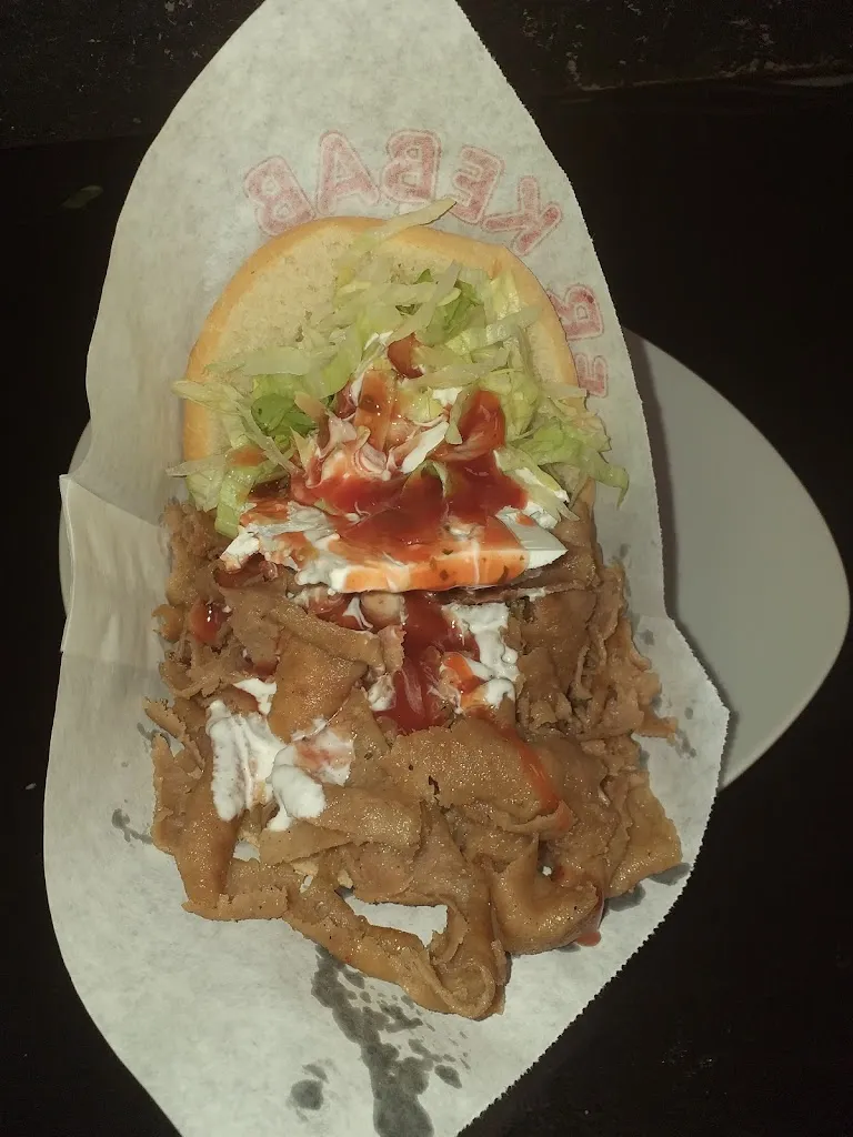 Menu_DOCTOR KEBAB_Torrejón de la Calzada_image_8