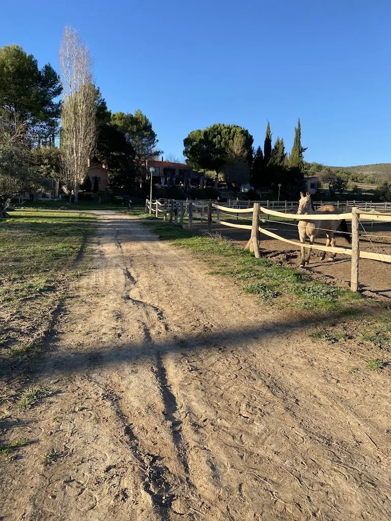 EJP Jz_Finca Equilibrium_Torrelaguna_review