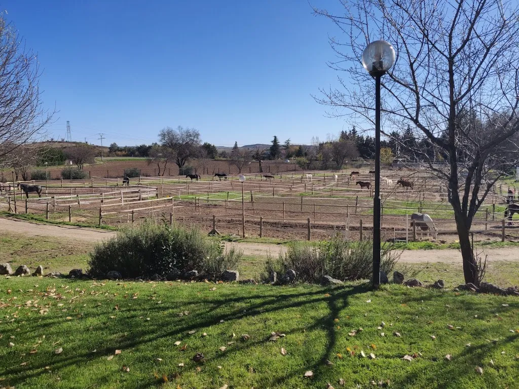 Rob Verdegaal_Finca Equilibrium_Torrelaguna_review