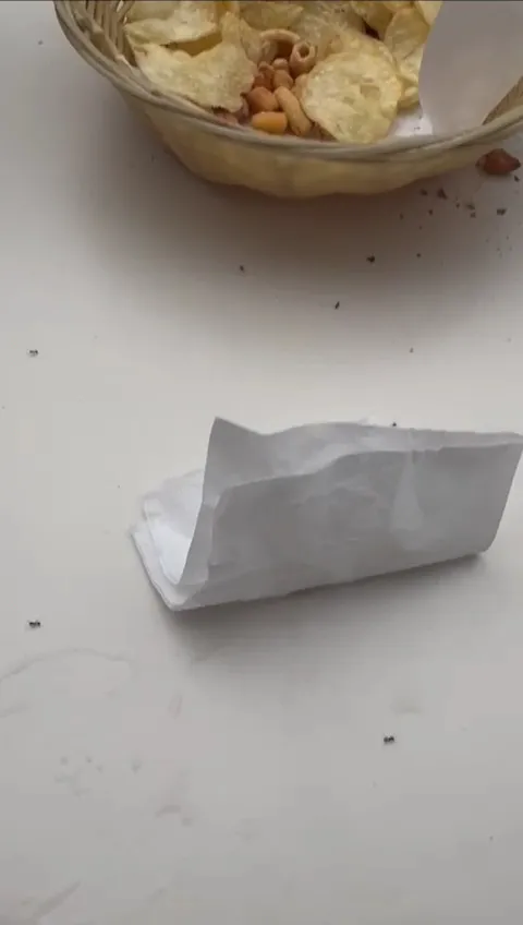 Paloma Prada Pásaro_Cafetería Jamonería Barcoavi_Torrelaguna_review