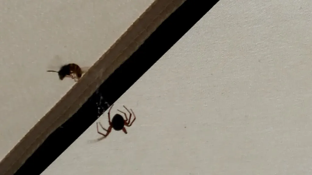 Restairante Mihval_Valdemaqueda_slider_image_2