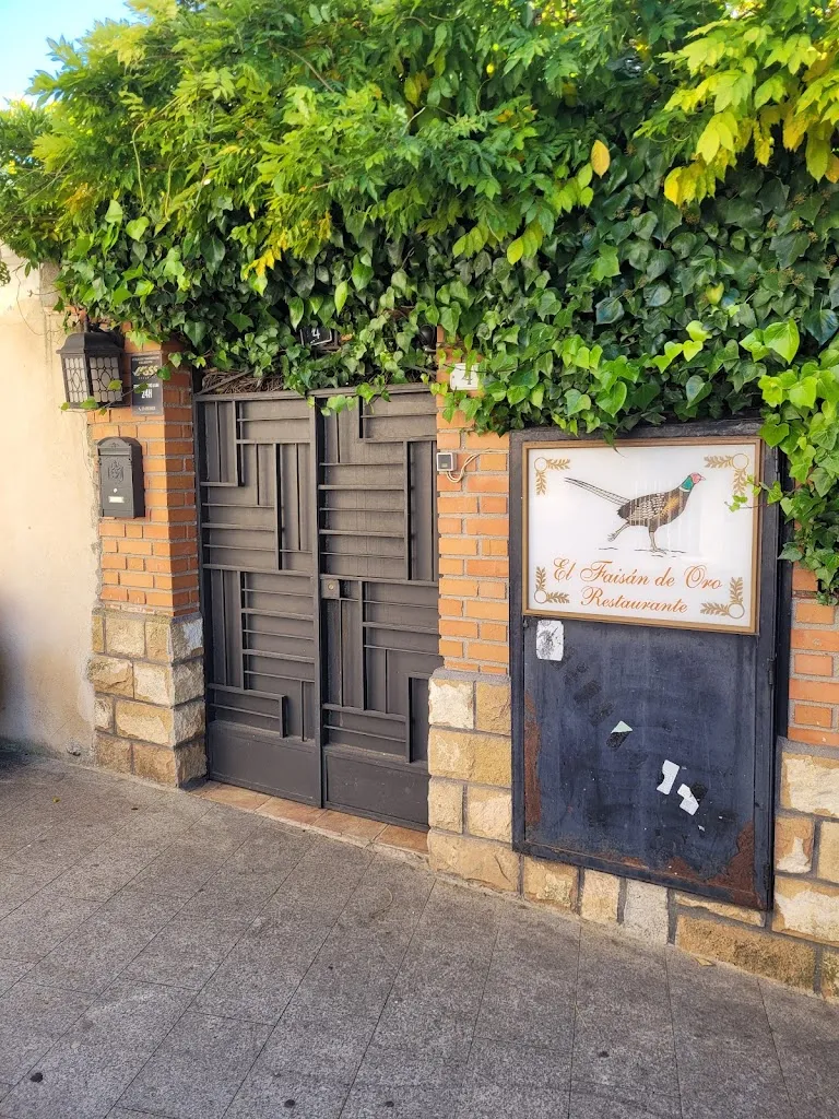 Jesús Fernández Sebastián_El Faisan De Oro_Valdeolmos-Alalpardo_review